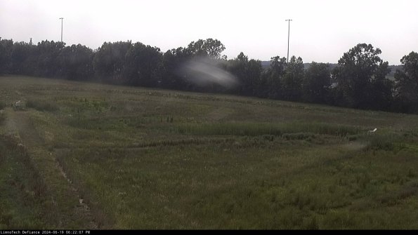 Cell 2_24-06-19_18-22-08-36