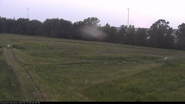 Cell 2_24-06-19_20-36-05-43