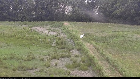 Cell 3 to 4_24-06-19_07-46-32-34