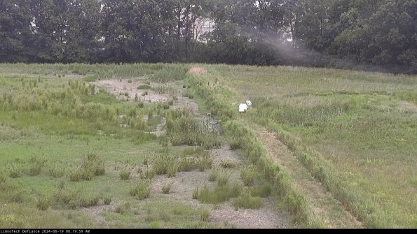 Cell 3 to 4_24-06-19_08-20-00-33