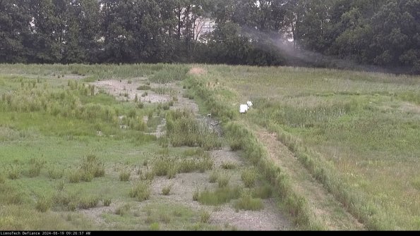 Cell 3 to 4_24-06-19_09-26-58-34