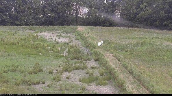 Cell 3 to 4_24-06-19_11-40-54-34