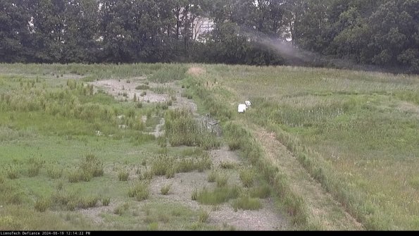 Cell 3 to 4_24-06-19_12-14-23-33