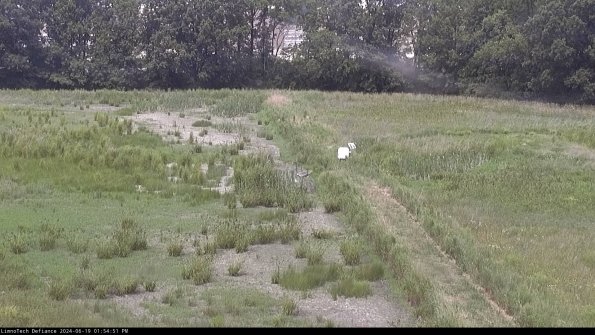 Cell 3 to 4_24-06-19_13-54-52-34