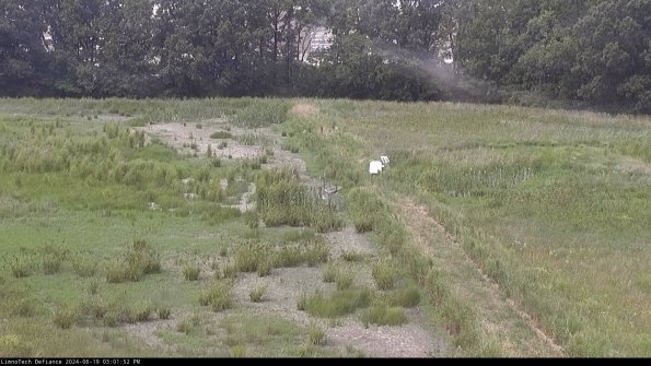 Cell 3 to 4_24-06-19_15-01-53-34