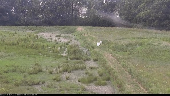 Cell 3 to 4_24-06-19_15-35-22-35