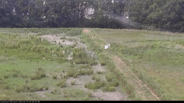 Cell 3 to 4_24-06-19_16-08-51-34