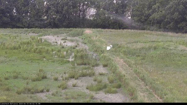 Cell 3 to 4_24-06-19_16-42-20-32