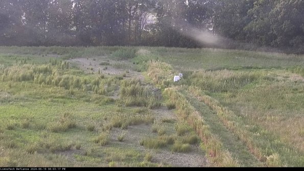 Cell 3 to 4_24-06-19_20-03-18-36