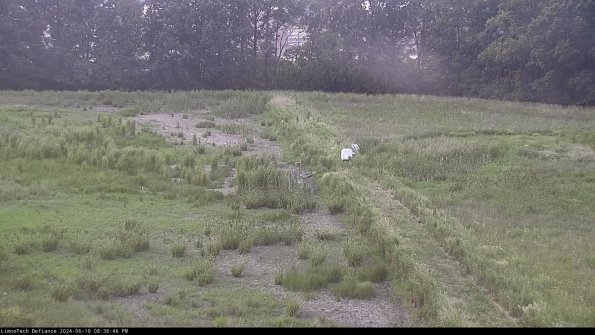 Cell 3 to 4_24-06-19_20-36-47-34