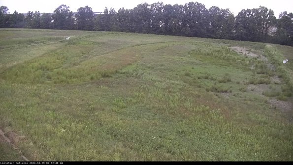 Cell 3_24-06-19_07-12-49-34