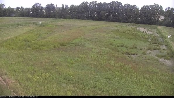 Cell 3_24-06-19_08-19-46-62