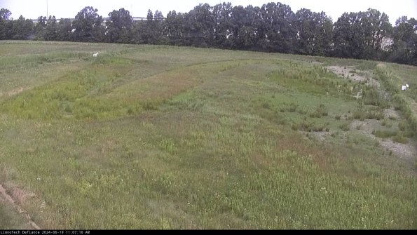 Cell 3_24-06-19_11-07-10-51