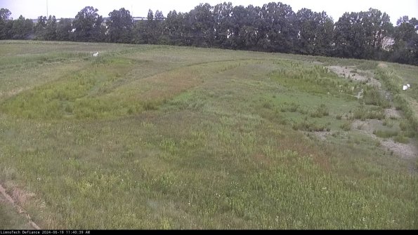 Cell 3_24-06-19_11-40-40-33