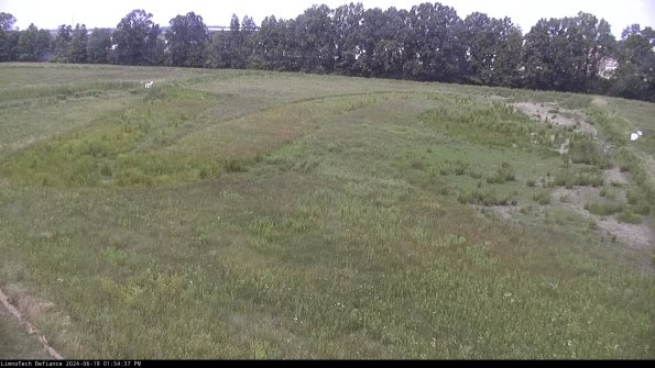 Cell 3_24-06-19_13-54-38-36