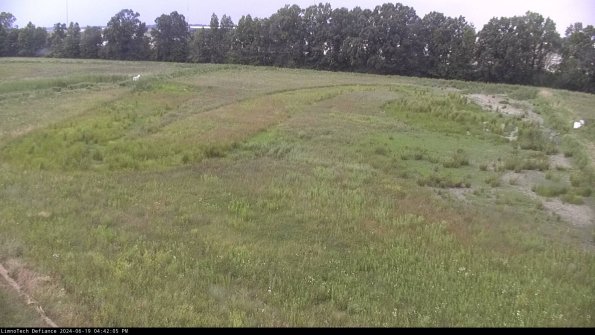 Cell 3_24-06-19_16-42-06-34