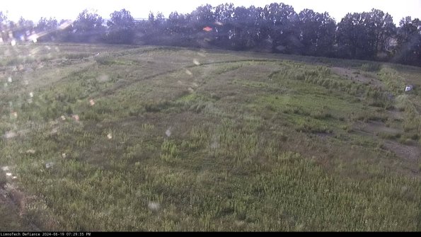 Cell 3_24-06-19_19-29-35-59