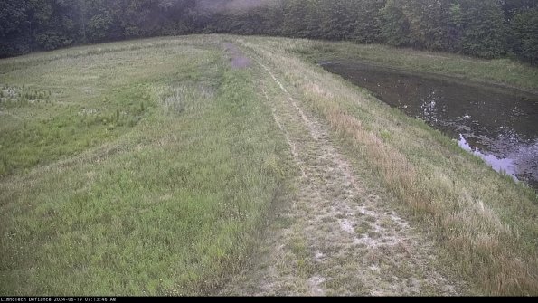 Cell 4 to Basin_24-06-19_07-13-47-33