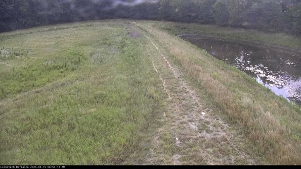 Cell 4 to Basin_24-06-19_08-54-13-33