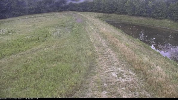 Cell 4 to Basin_24-06-19_10-34-40-35