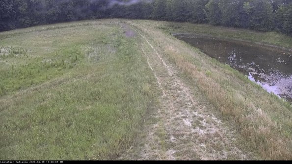 Cell 4 to Basin_24-06-19_11-08-08-34