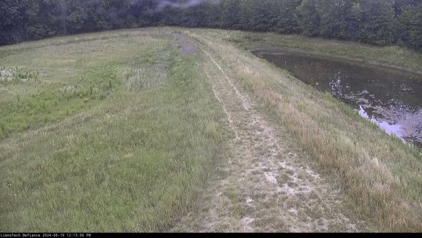 Cell 4 to Basin_24-06-19_12-15-07-34