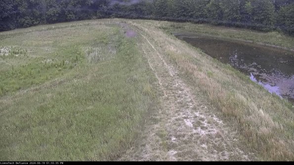 Cell 4 to Basin_24-06-19_13-55-36-35