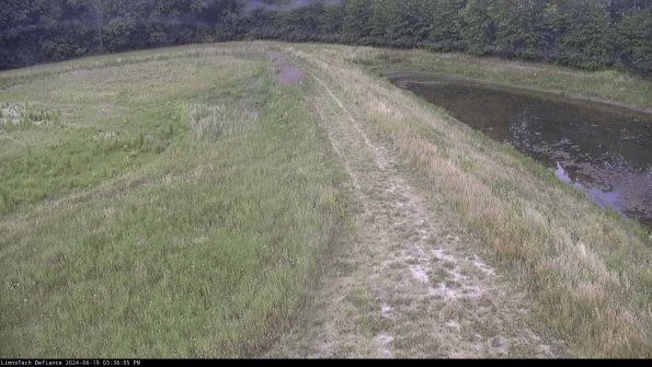 Cell 4 to Basin_24-06-19_15-36-06-36