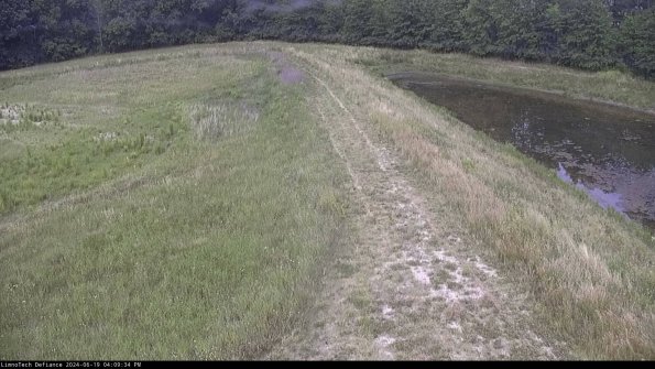 Cell 4 to Basin_24-06-19_16-09-35-35