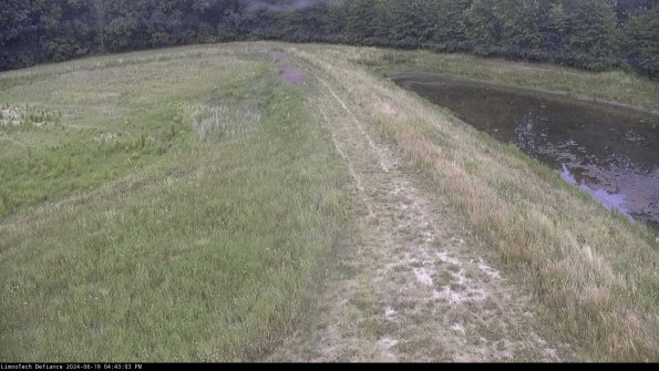 Cell 4 to Basin_24-06-19_16-43-04-36