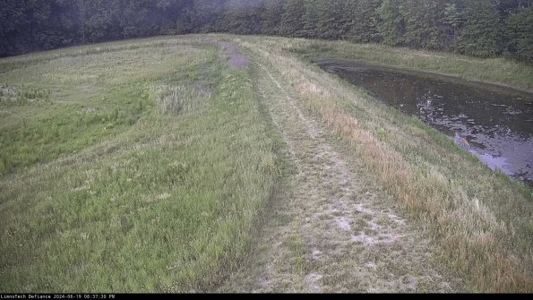 Cell 4 to Basin_24-06-19_20-37-31-35