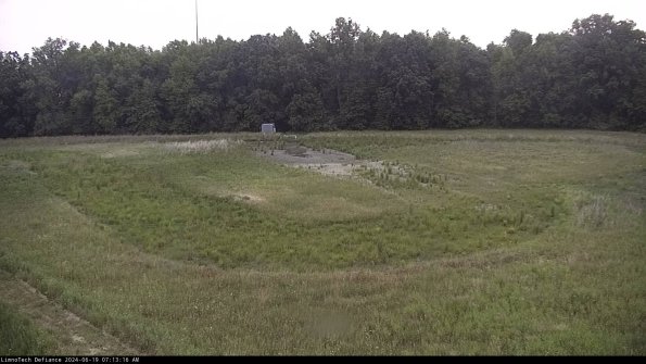 Cell 4_24-06-19_07-13-17-33