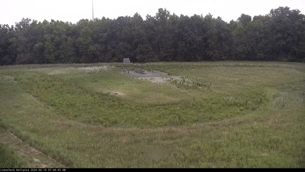 Cell 4_24-06-19_07-46-46-32