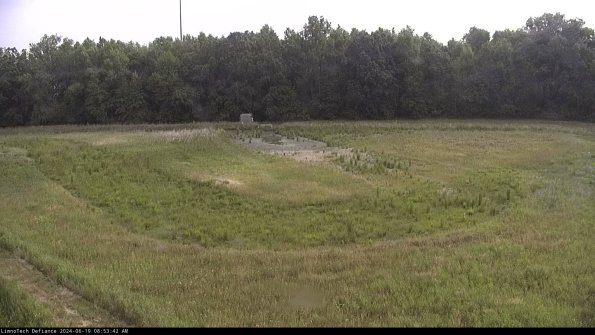 Cell 4_24-06-19_08-53-43-33