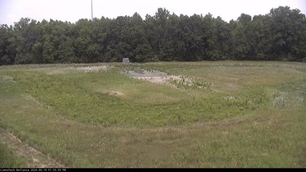 Cell 4_24-06-19_13-55-06-35