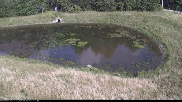 Basin Right_24-06-21_17-51-18-34