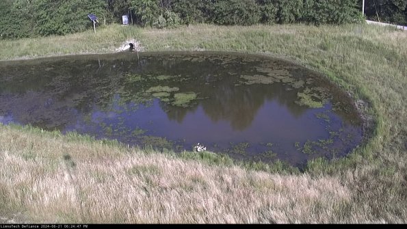 Basin Right_24-06-21_18-24-48-33