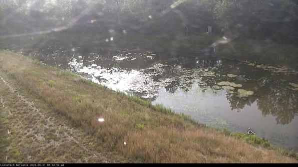 Basin_24-06-21_08-54-53-44