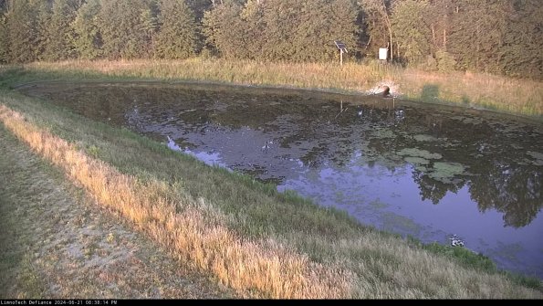 Basin_24-06-21_20-38-15-46