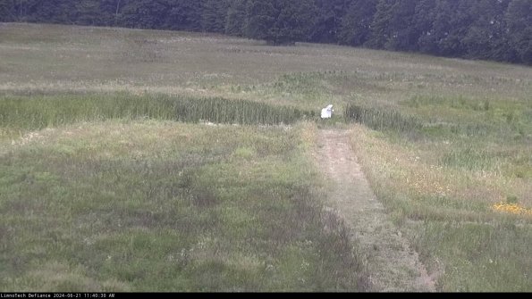 Cell 1 to 2_24-06-21_11-40-31-33