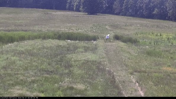 Cell 1 to 2_24-06-21_16-08-27-32