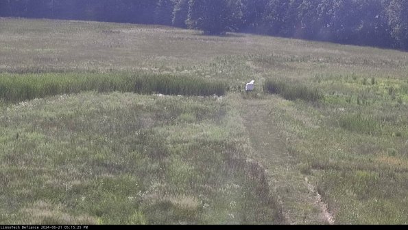 Cell 1 to 2_24-06-21_17-15-26-32