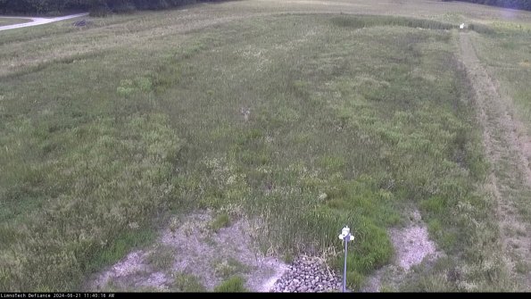 Cell 1_24-06-21_11-40-17-32