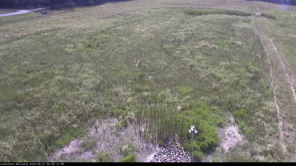 Cell 1_24-06-21_16-08-13-34