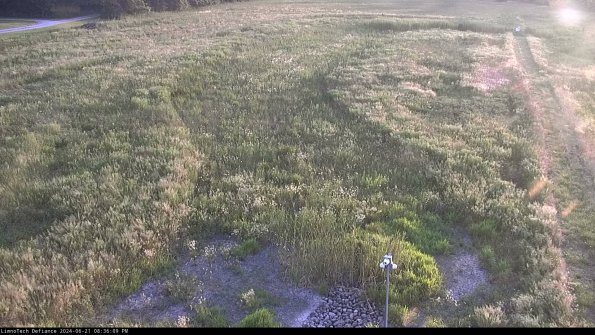 Cell 1_24-06-21_20-36-10-36