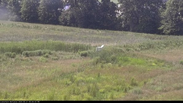 Cell 2 to 3_24-06-21_16-08-53-54