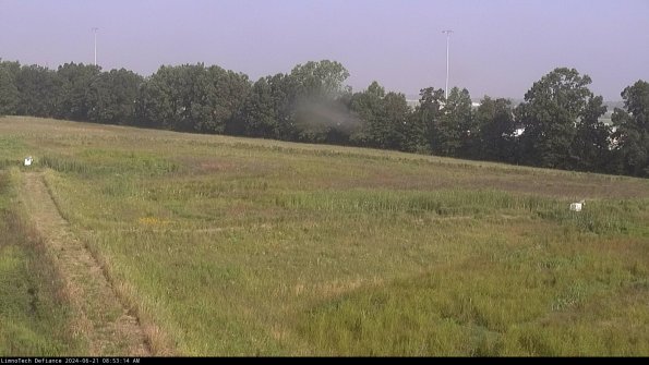 Cell 2_24-06-21_08-53-15-38