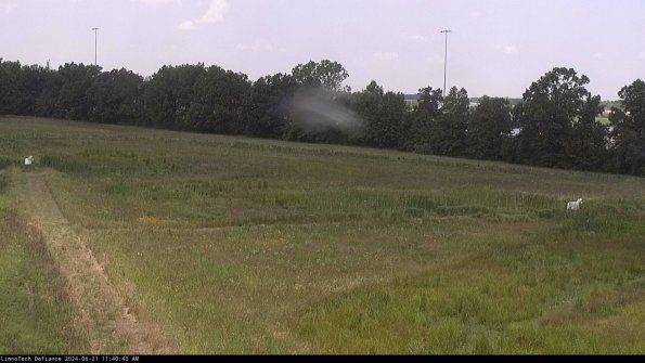 Cell 2_24-06-21_11-40-44-34