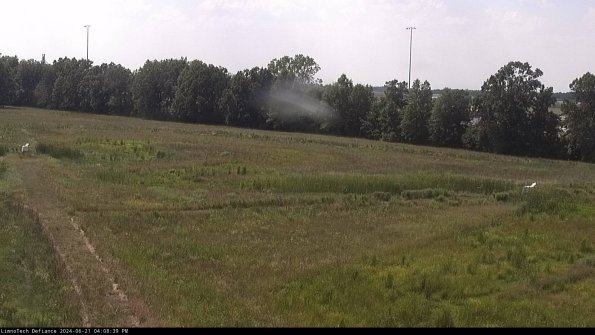 Cell 2_24-06-21_16-08-40-36