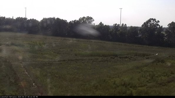 Cell 2_24-06-21_18-22-39-40